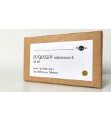 Sogenzia